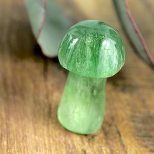 Vibrant Green Fluorite Mushroom Standing Display Carving - Earth Family Crystals