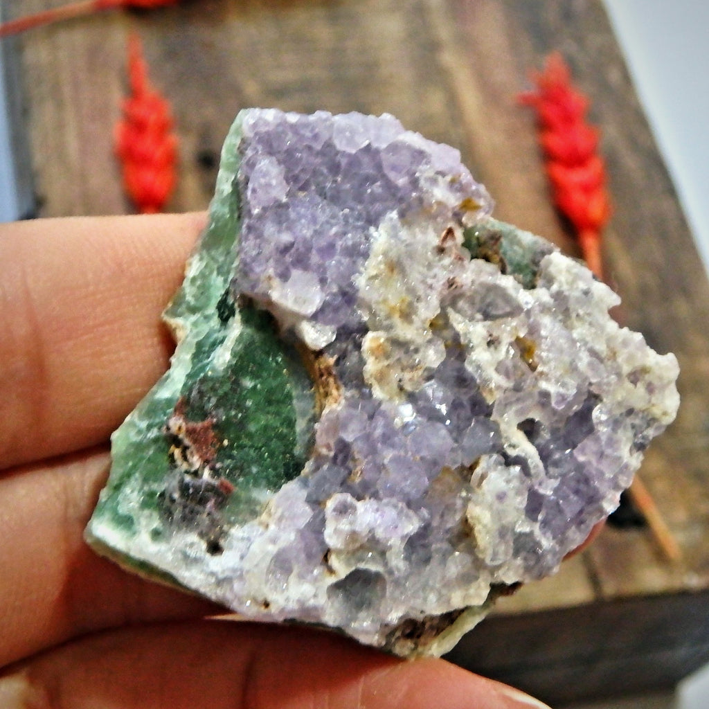 Rare & Natural Double Sided Beauty! Sparkling Lavender Amethyst & Vibrant Green Fluorite Partially Polished Specimen From Colorado - Earth Family Crystals