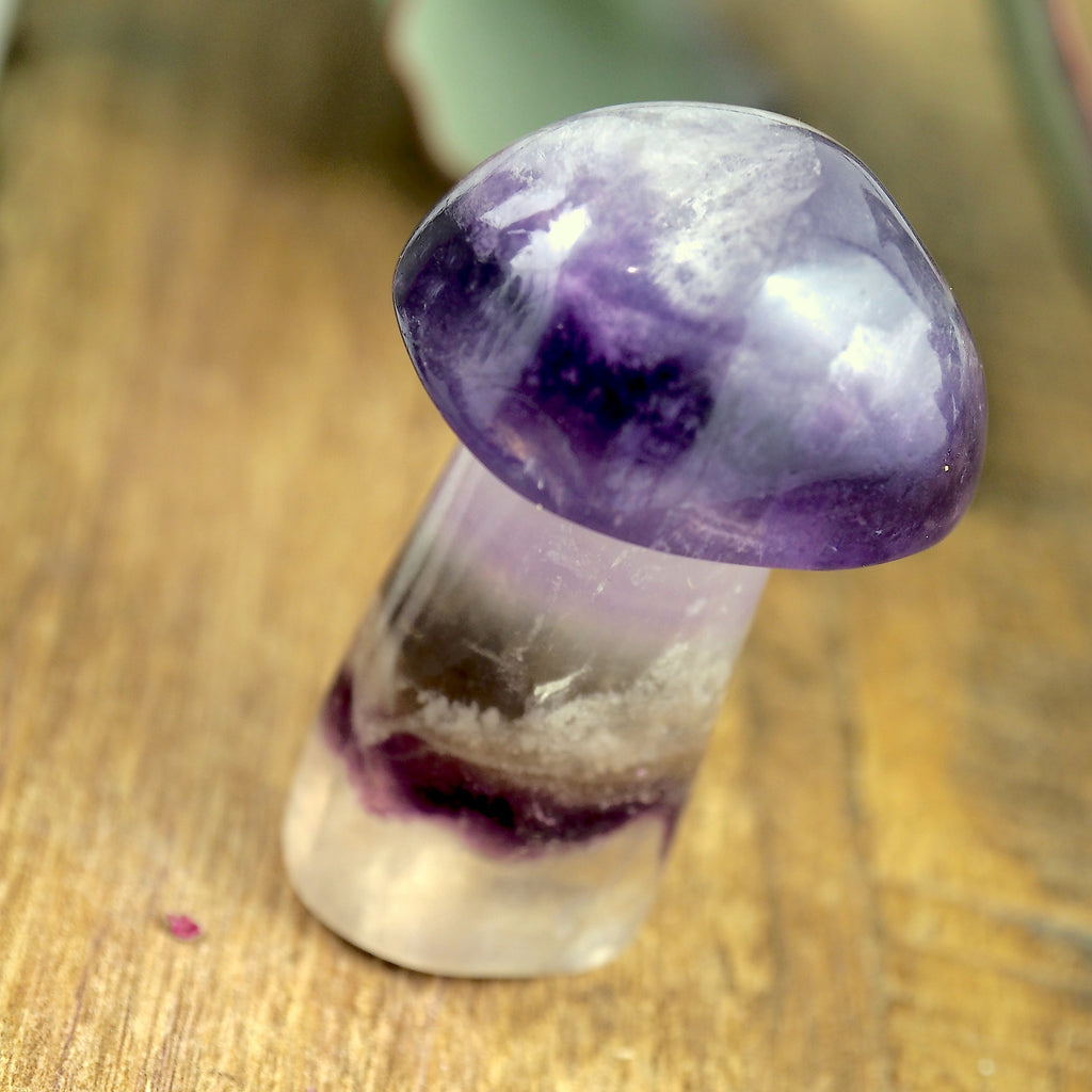 Stunning Optical Fluorite Mushroom Standing Display Carving - Earth Family Crystals