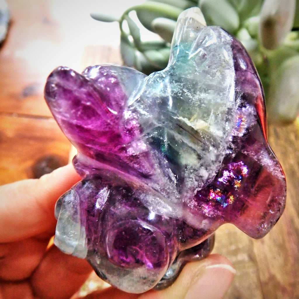 Pretty Rainbow Filled Double Dolphin Fluorite Carving Display Specimen 1 - Earth Family Crystals