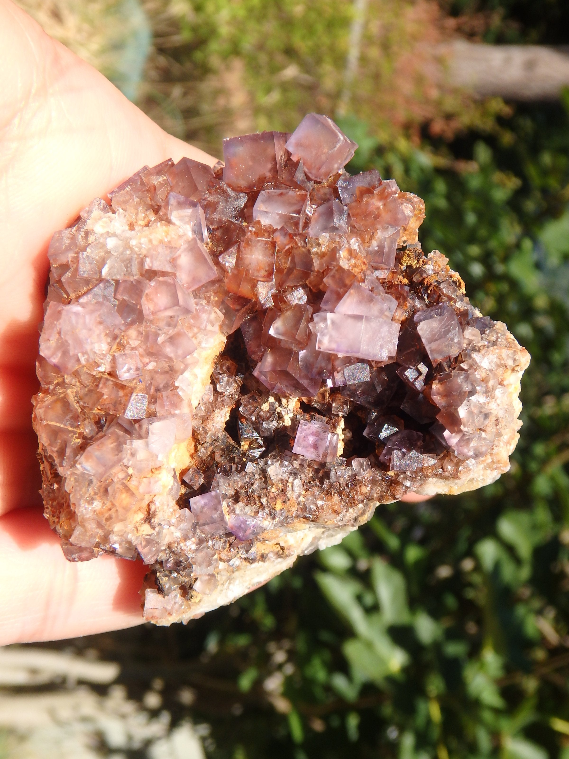 Purple Haze Cubic Fluorite Nestled on Rock Matrix From Bingham, NM