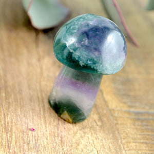 Rainbow Fluorite Mushroom Standing Display Carving