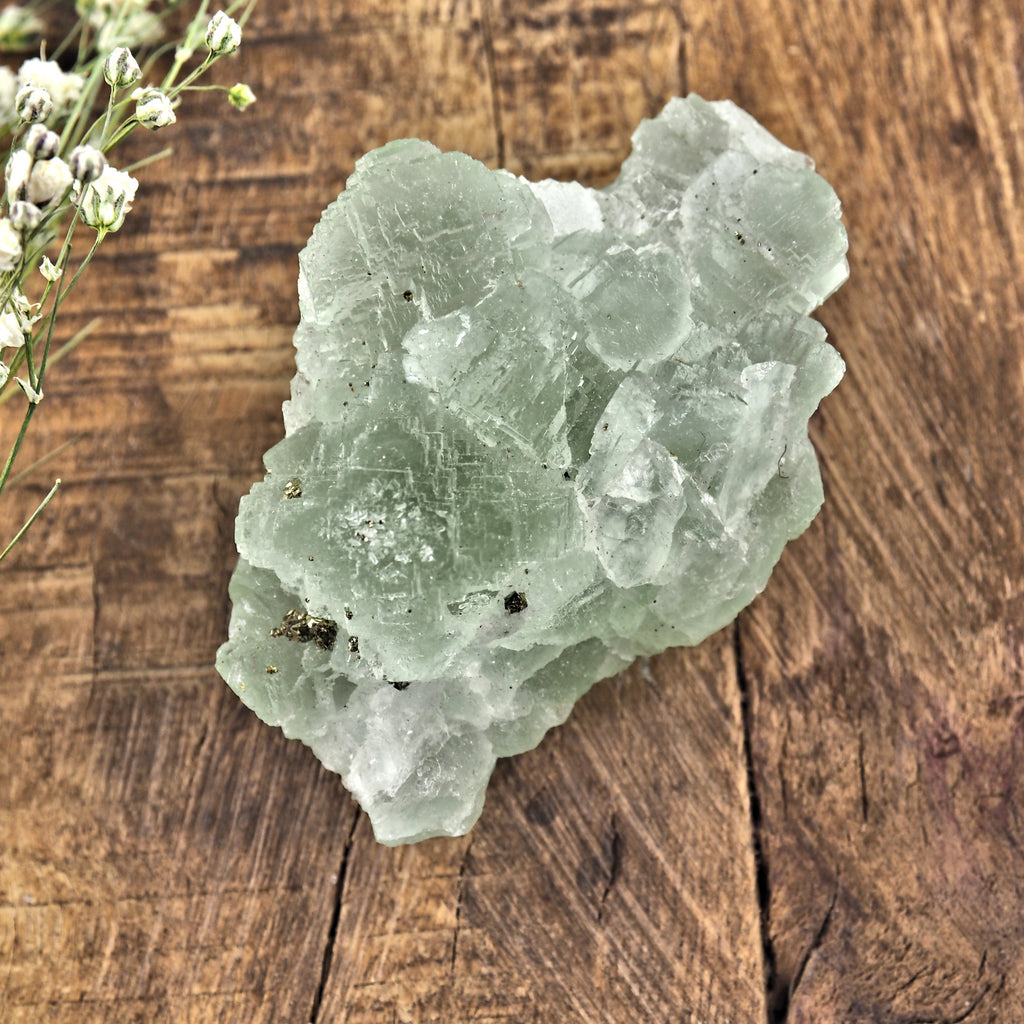 Raw Green Fluorite With Pyrite Inclusions #3 - Earth Family Crystals