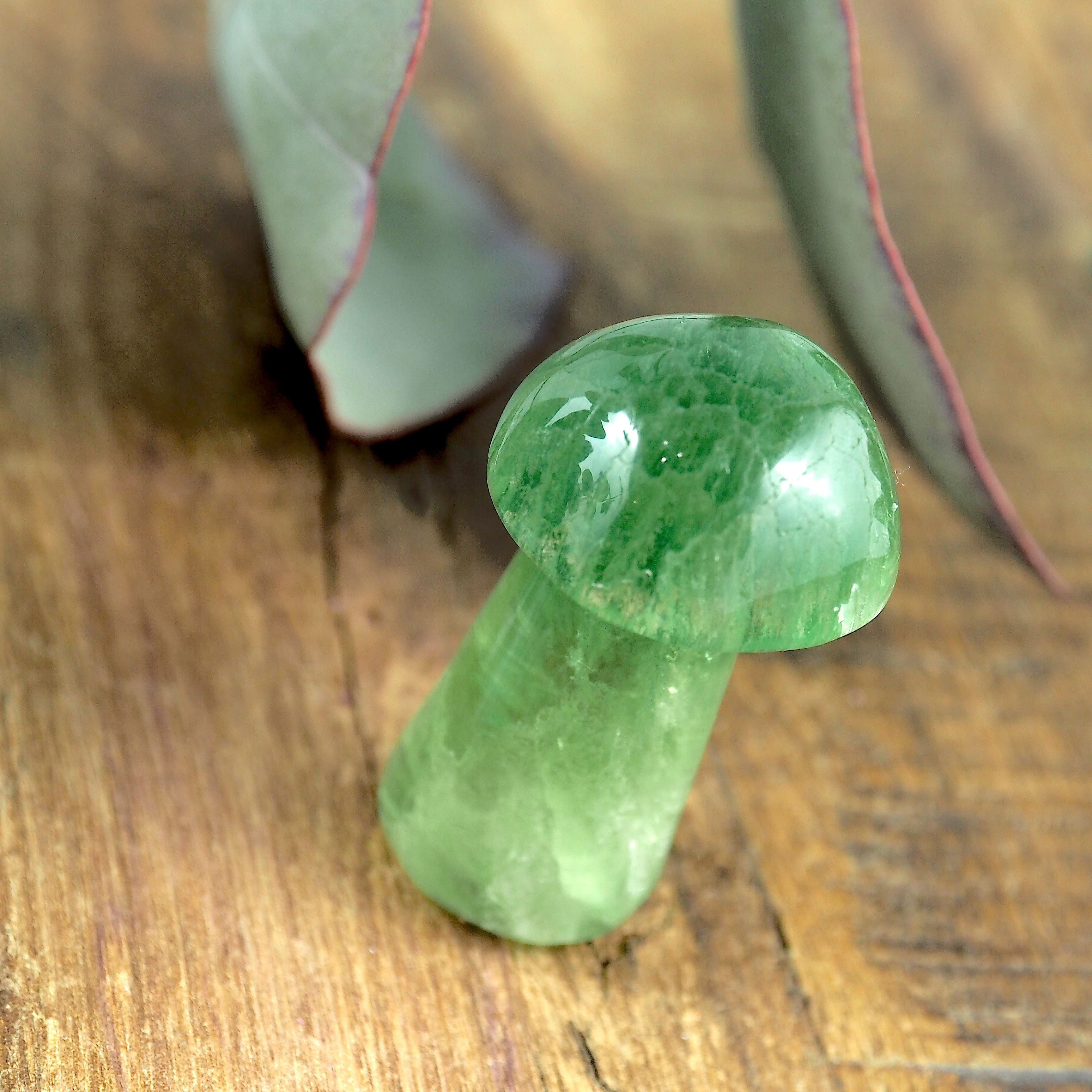 Vibrant Green Fluorite Mushroom Standing Display Carving - Earth Family Crystals