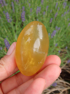 Smooth & Soothing Golden Fluorite Egg Shape Specimen 1 - Earth Family Crystals