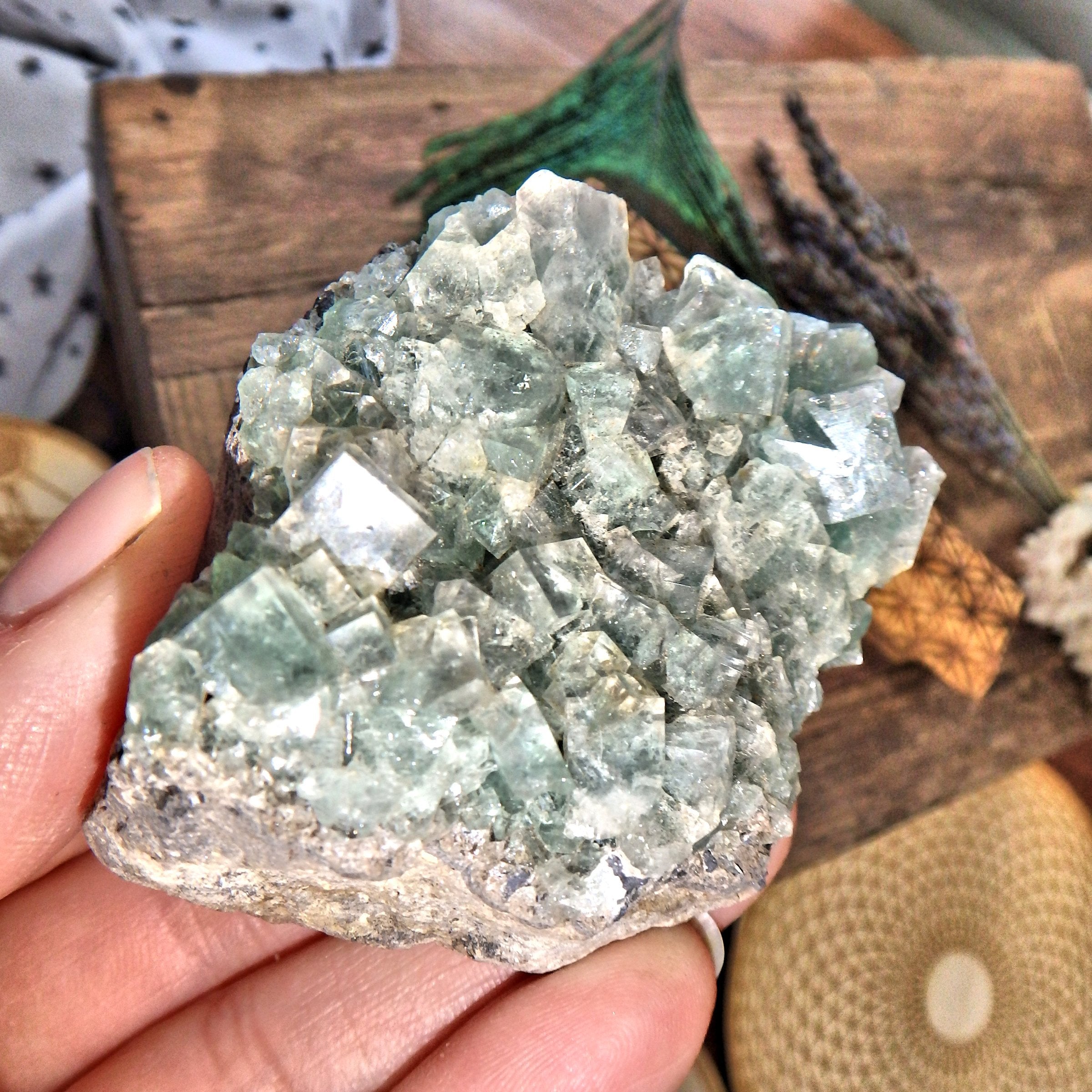 Fluorescence Crystal~Famous Rogerly Mine Cubic Fluorite From England - Earth Family Crystals