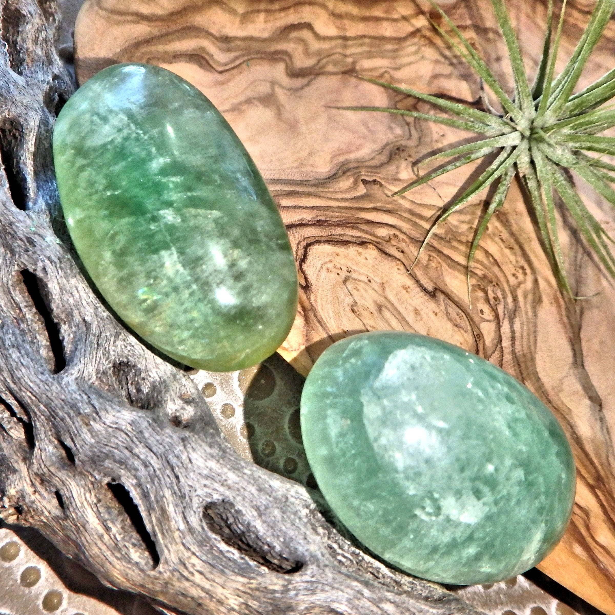 Peaceful Radiance Set of 2 Green Fluorite Pocket Stones - Earth Family Crystals
