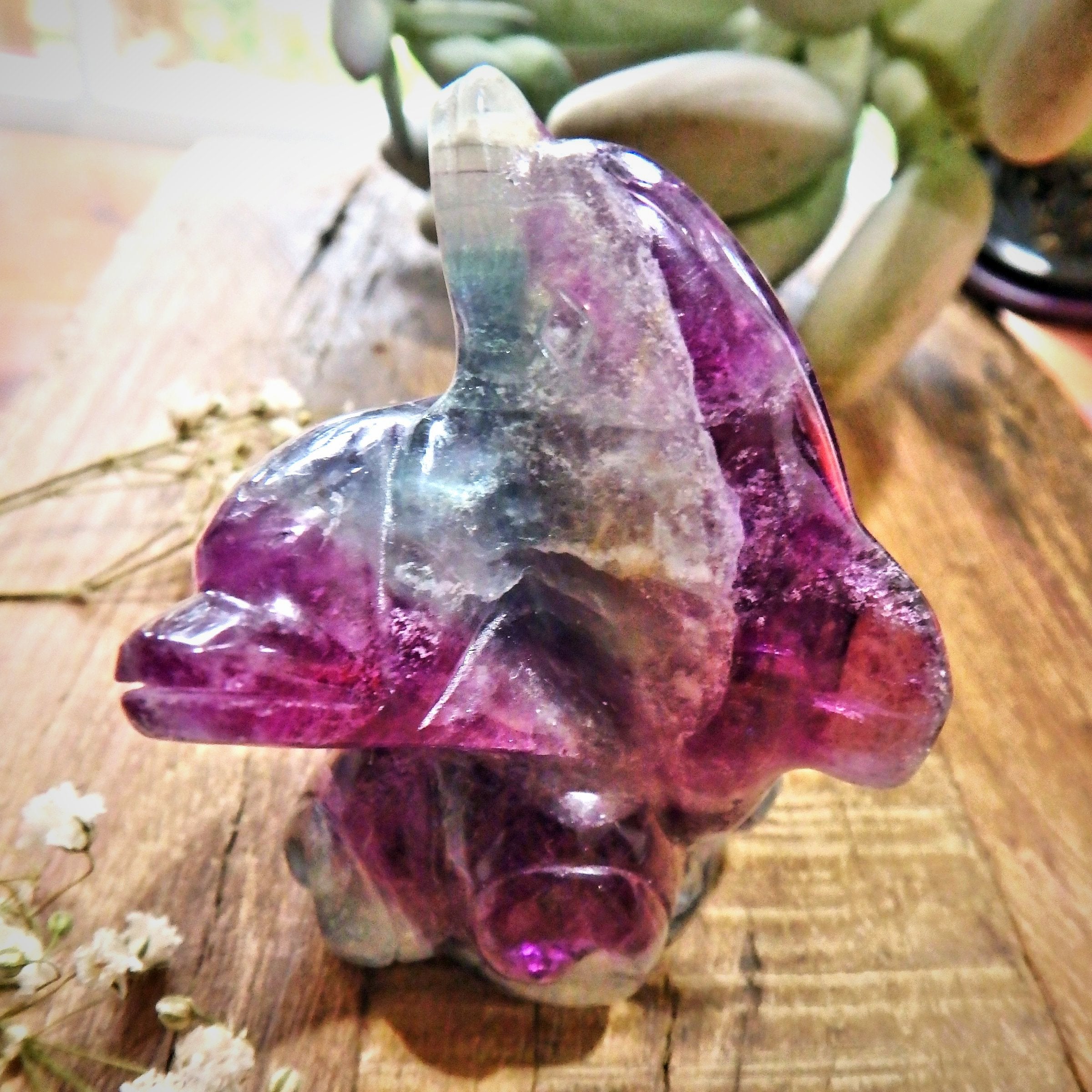 Pretty Rainbow Filled Double Dolphin Fluorite Carving Display Specimen 1 - Earth Family Crystals