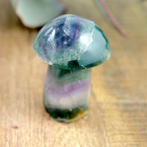 Rainbow Fluorite Mushroom Standing Display Carving