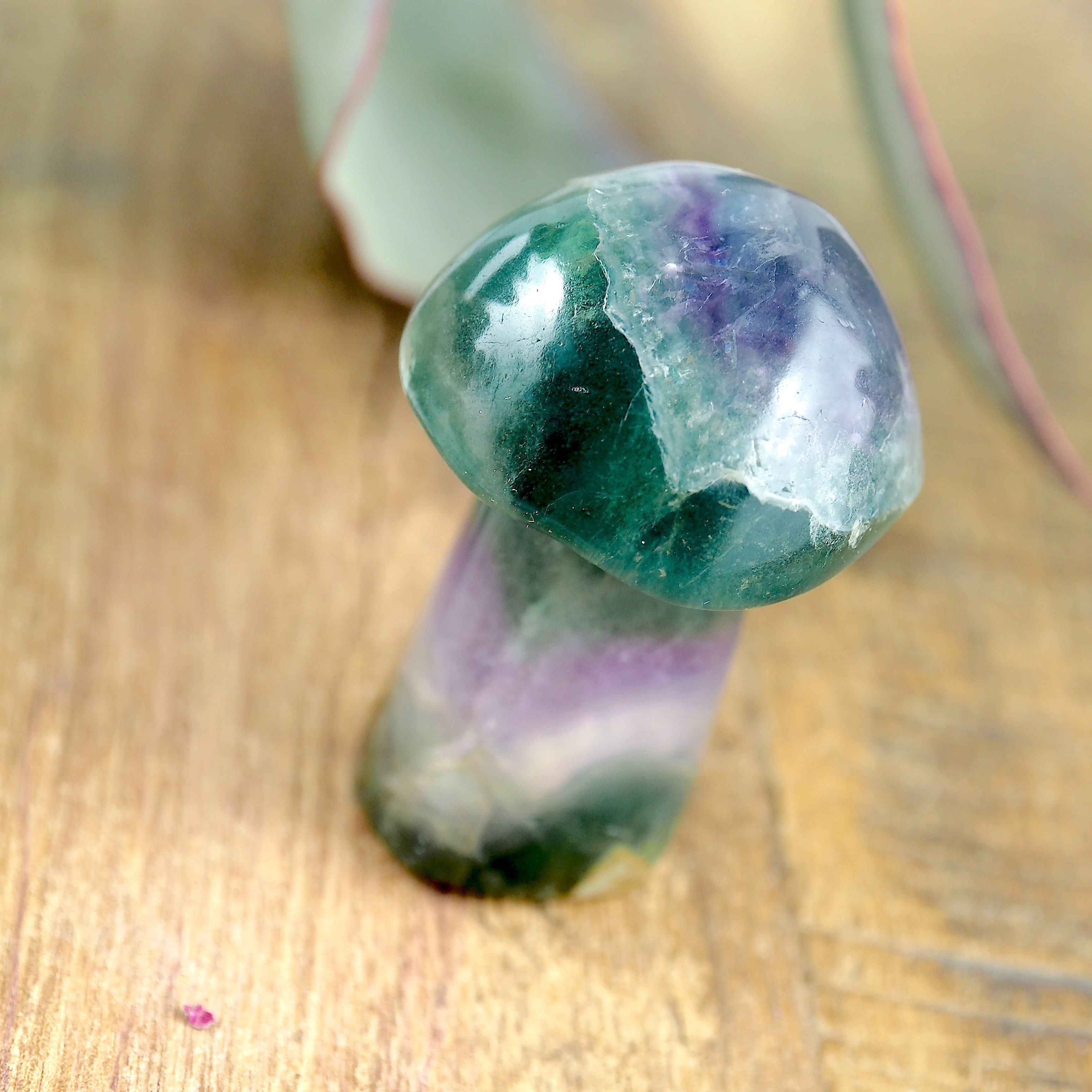 Rainbow Fluorite Mushroom Standing Display Carving