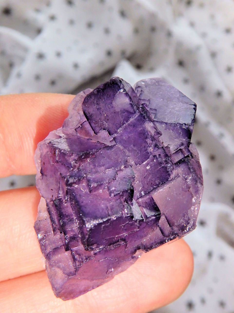 3D Contrast Midnight Purple Fluorite Cluster From Mexico - Earth Family Crystals