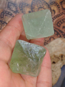 Set of 2 Natural Green Fluorite Hand Held Specimens - Earth Family Crystals