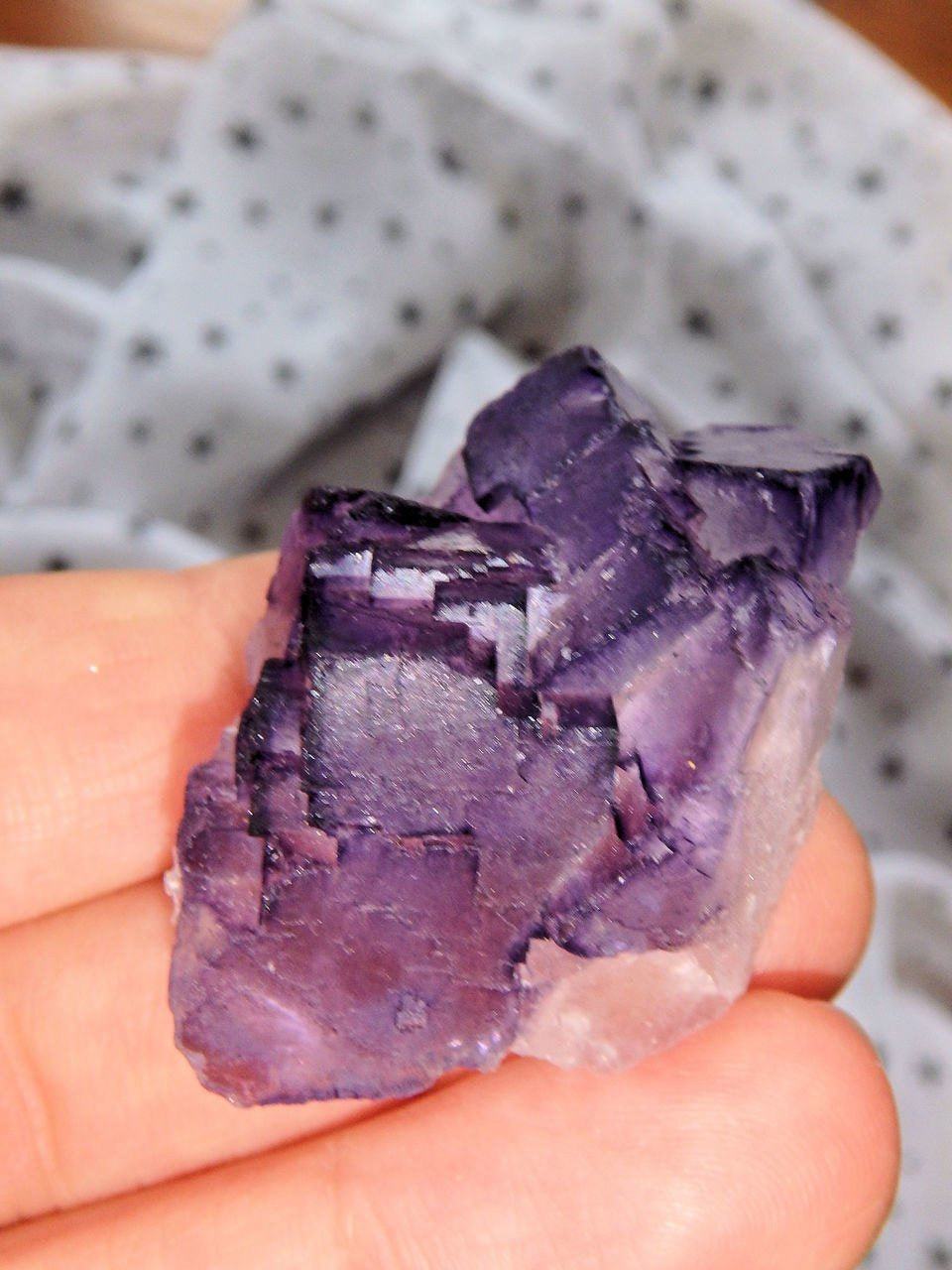 3D Contrast Midnight Purple Fluorite Cluster From Mexico - Earth Family Crystals