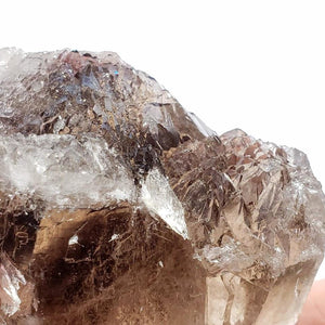 Large Incredible Brilliance Self Healed Multi Point Smoky Quartz Cluster From Brazil - Earth Family Crystals