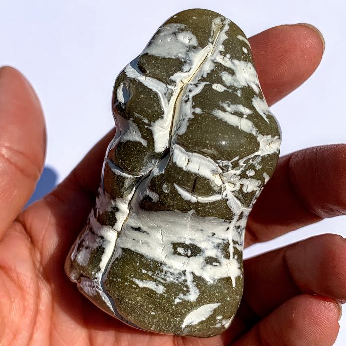 Partially Polished Alligator Agate Nodule From Arizona #1 - Earth Family Crystals