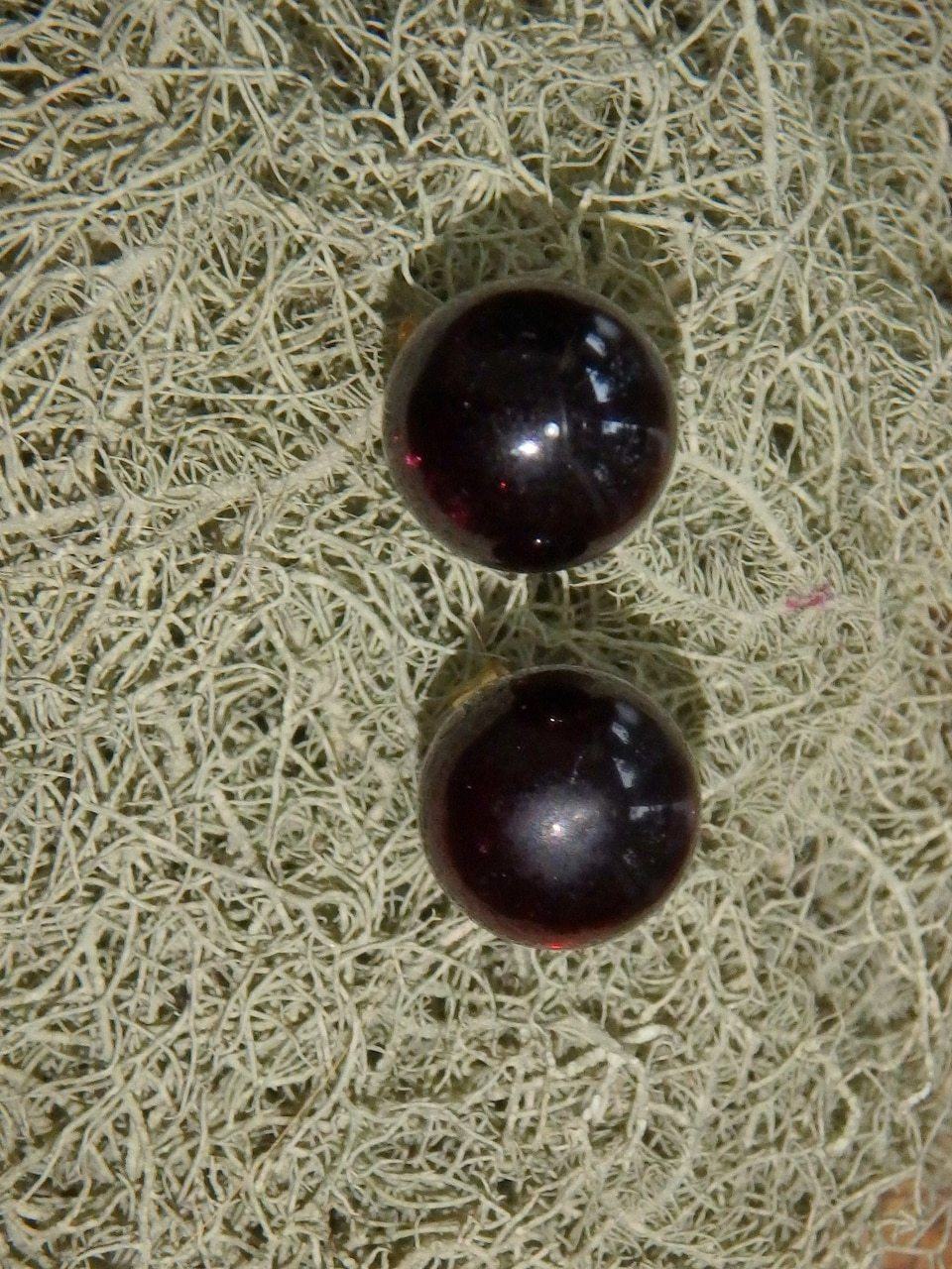 Burgundy Garnet Stud Earrings in Gold - Earth Family Crystals