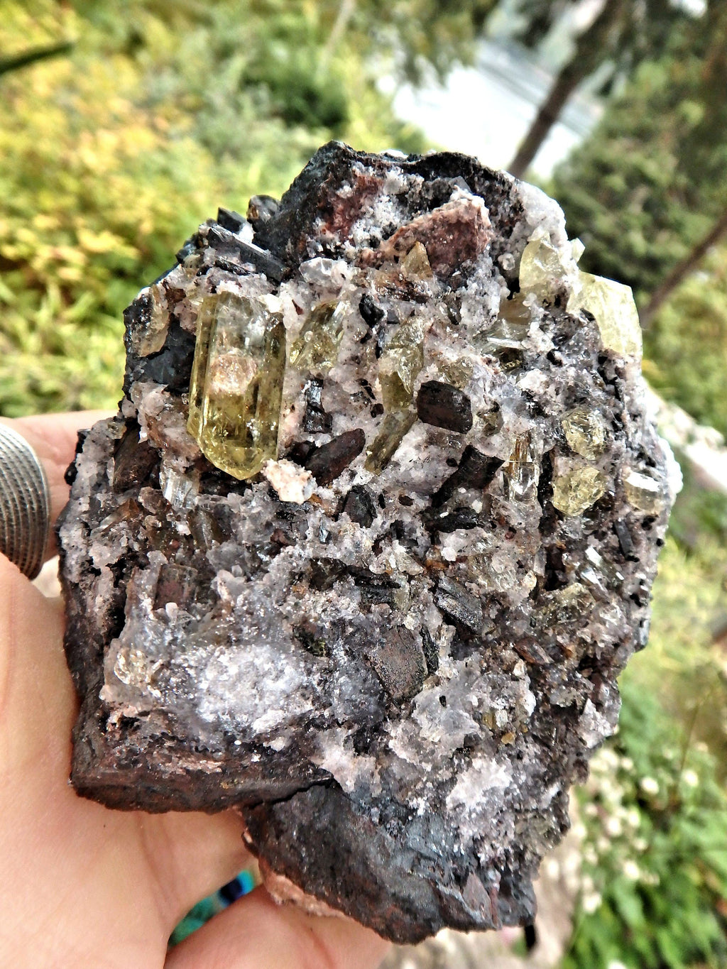 Chunky Large Golden Apatite Points Nestled In Matrix - Earth Family Crystals