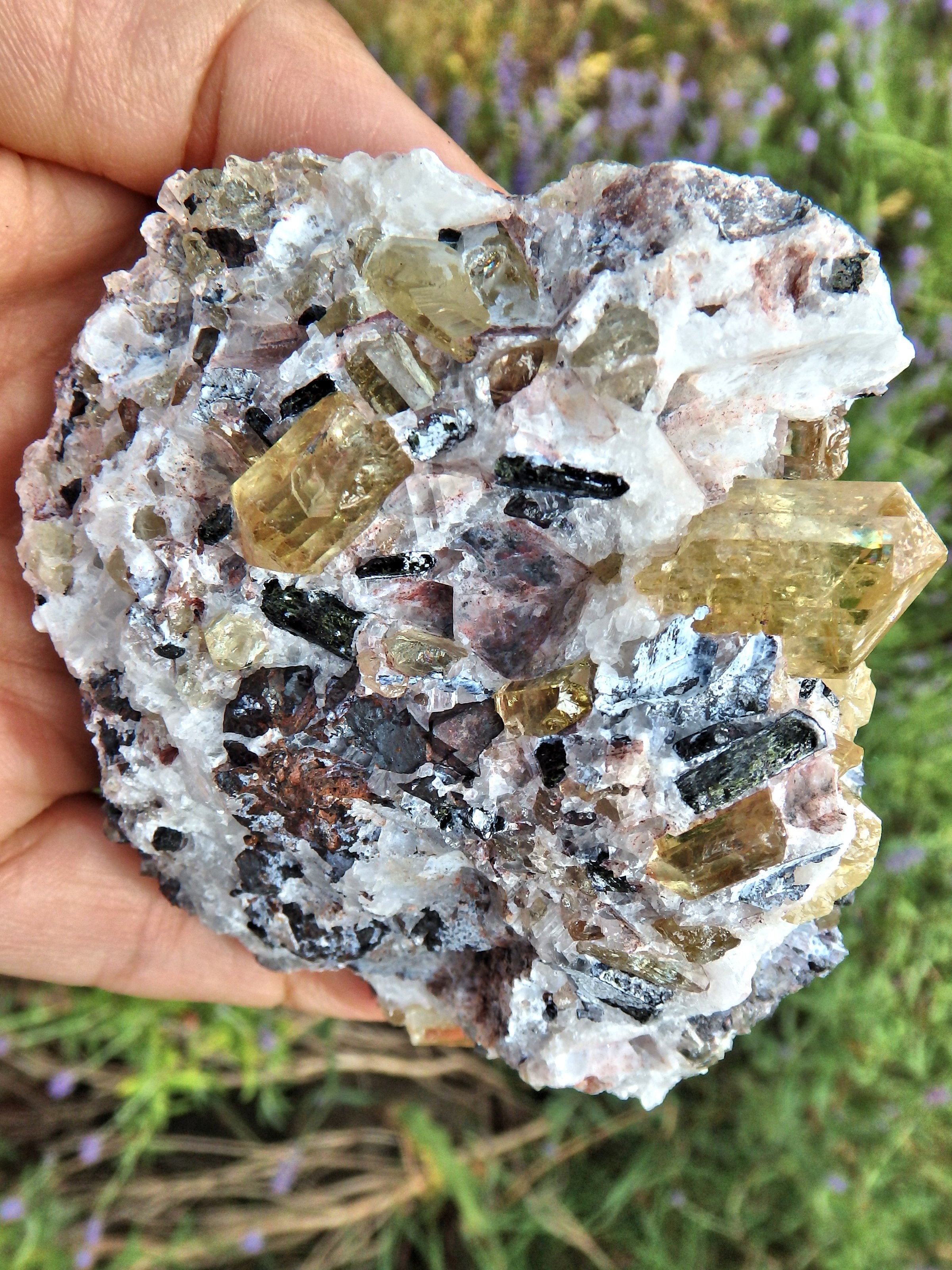 Incredible Brilliance~Large Golden Apatite Points Nestled in Matrix From Mexico1