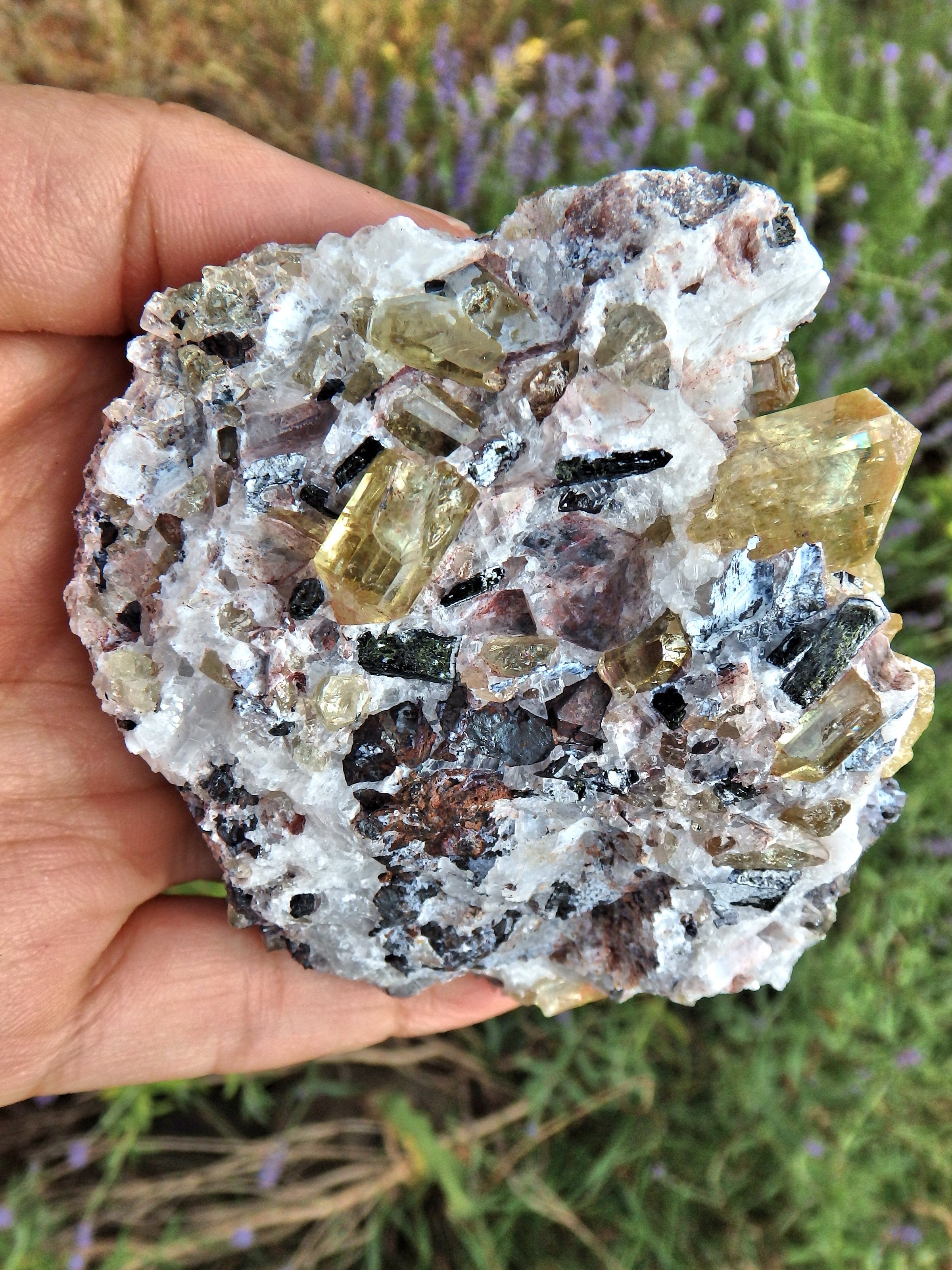 Incredible Brilliance~Large Golden Apatite Points Nestled in Matrix From Mexico1