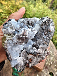 Chunky Large Golden Apatite Points Nestled In Matrix - Earth Family Crystals
