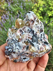 Incredible Brilliance~Large Golden Apatite Points Nestled in Matrix From Mexico1