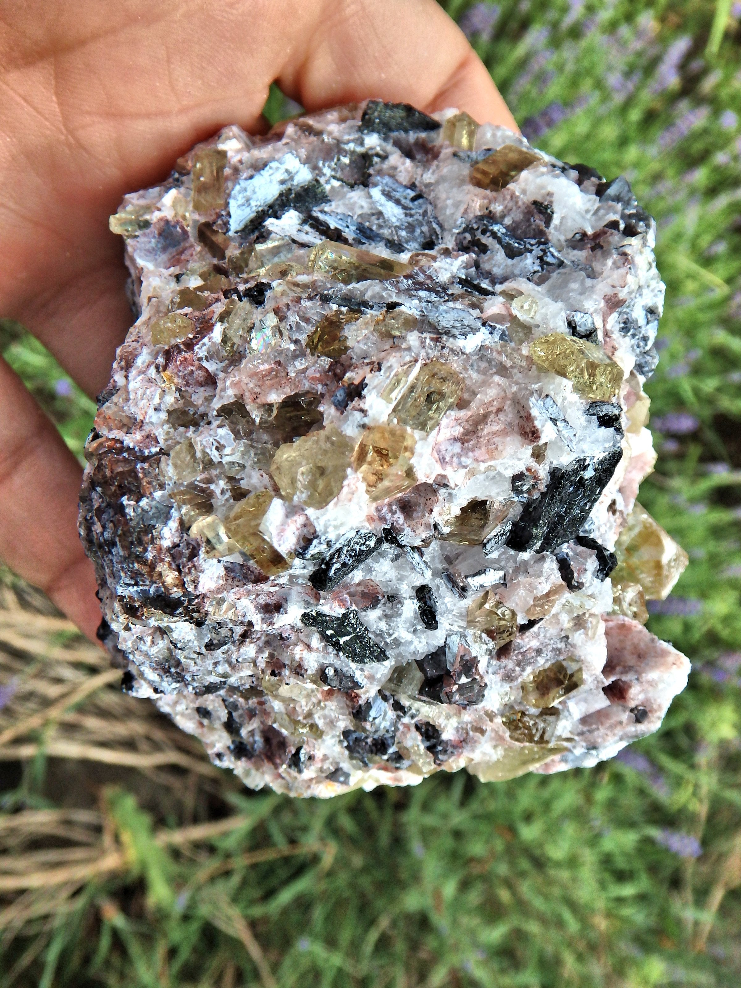 Incredible Brilliance~Large Golden Apatite Points Nestled in Matrix From Mexico1