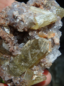 Stunning Large Point & Babies Golden Apatite Nestled in Quartz Druzy Matrix From Mexico - Earth Family Crystals