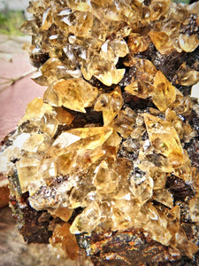 XL Extremely Impressive Elmwood Mine DT Shiny Golden Calcite Points Nestled on Ruby Sphalerite Matrix - Earth Family Crystals