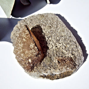 Unique Golden Calcite Point Nestled on Matrix From India - Earth Family Crystals