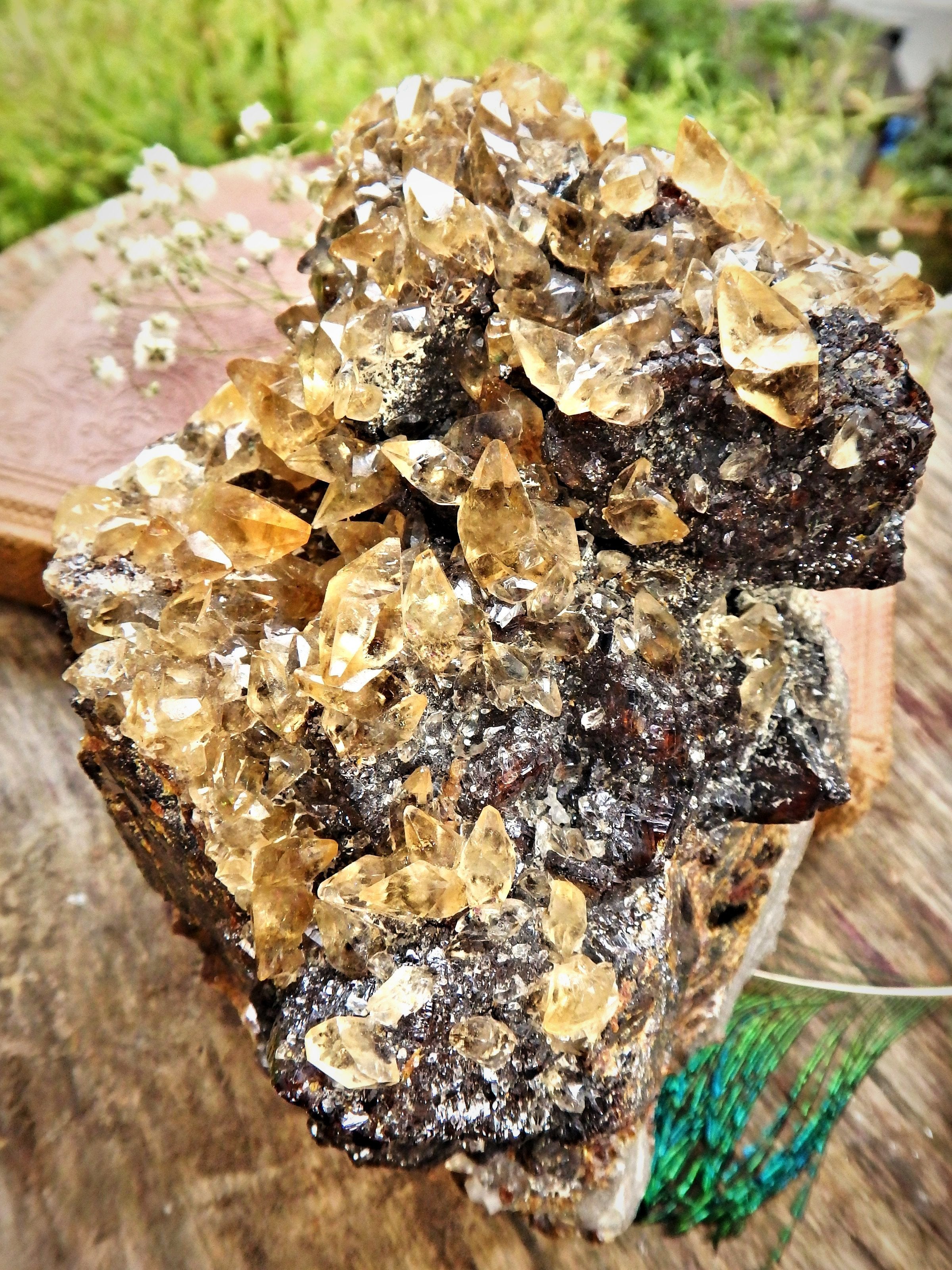 XL Extremely Impressive Elmwood Mine DT Shiny Golden Calcite Points Nestled on Ruby Sphalerite Matrix - Earth Family Crystals