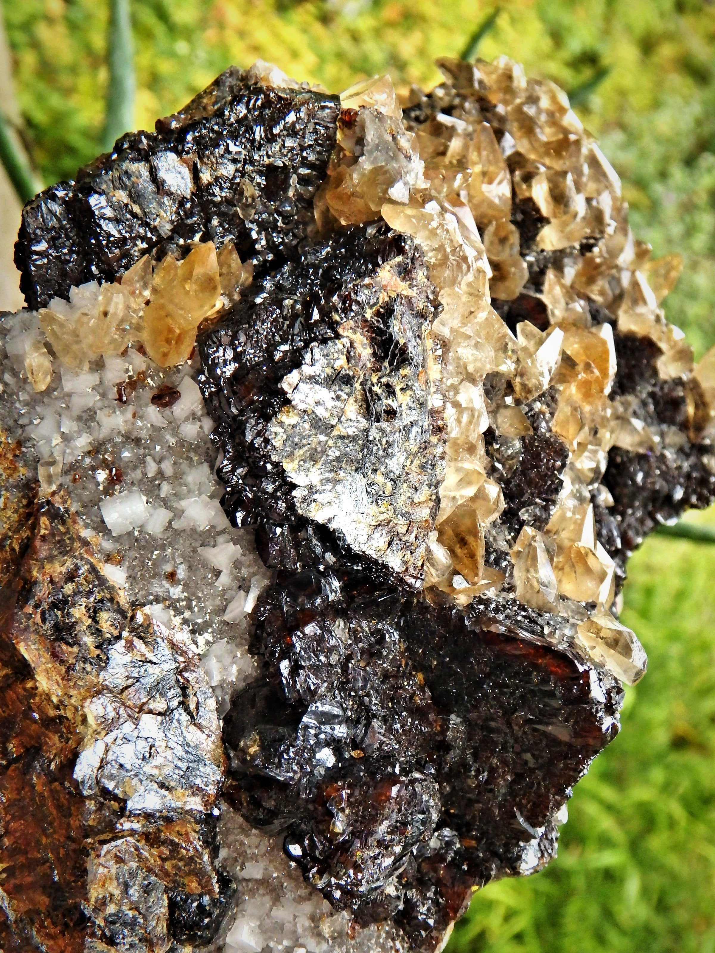 XL Extremely Impressive Elmwood Mine DT Shiny Golden Calcite Points Nestled on Ruby Sphalerite Matrix - Earth Family Crystals