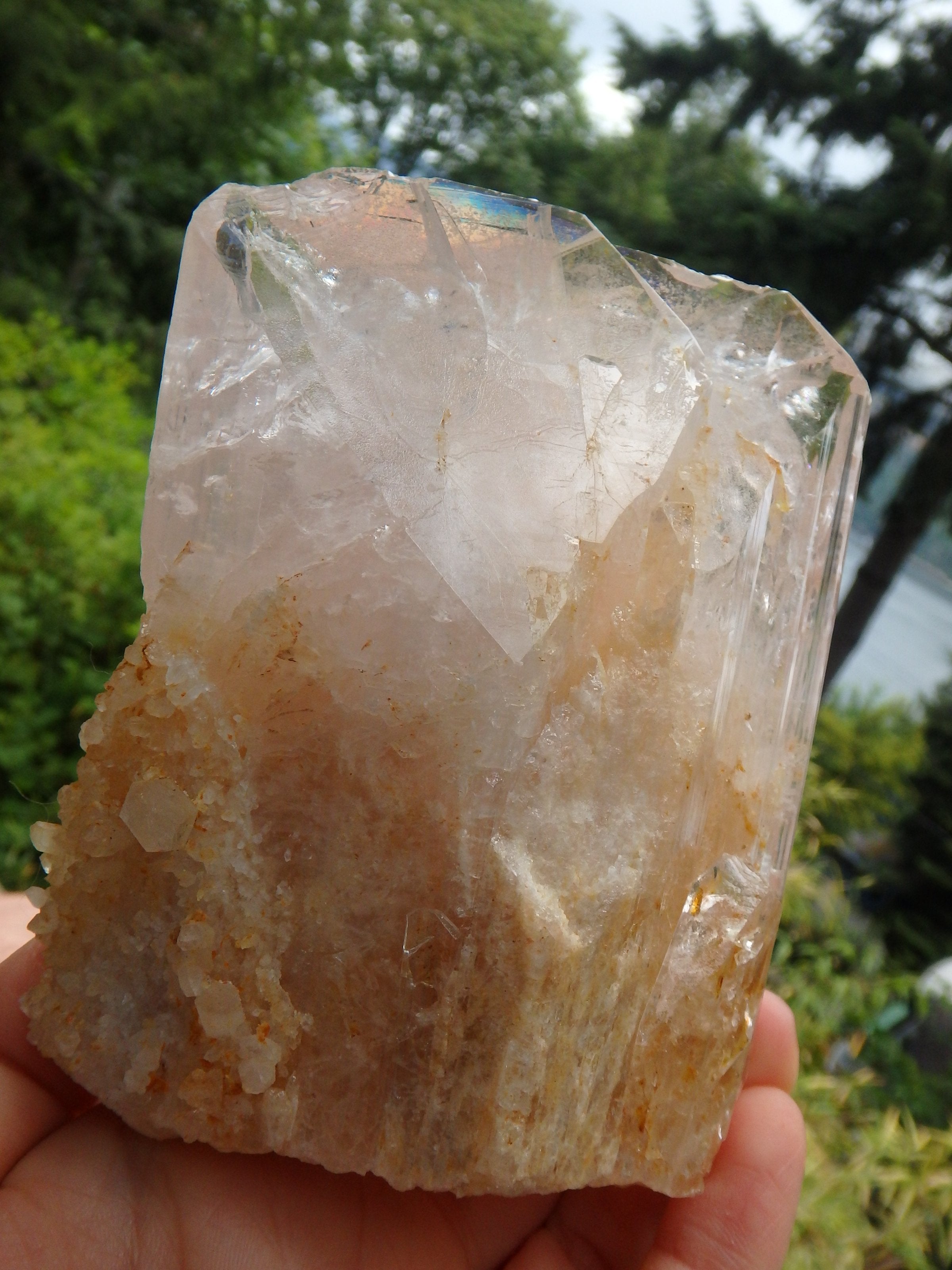 Extreme Healer! XL Light Pink & Golden Danburite With Druzy Quartz Point Inclusions From Mexico - Earth Family Crystals