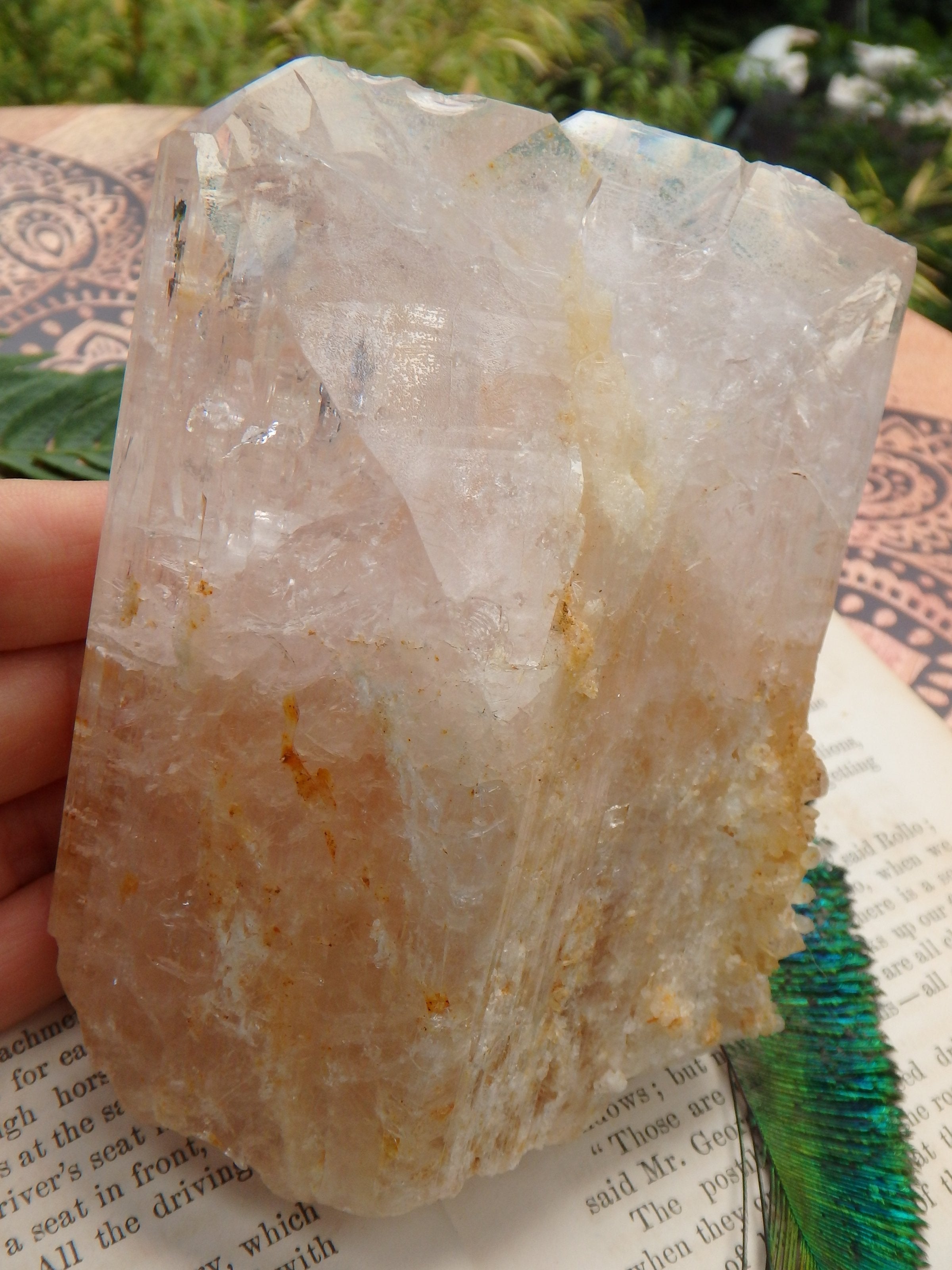 Extreme Healer! XL Light Pink & Golden Danburite With Druzy Quartz Point Inclusions From Mexico - Earth Family Crystals