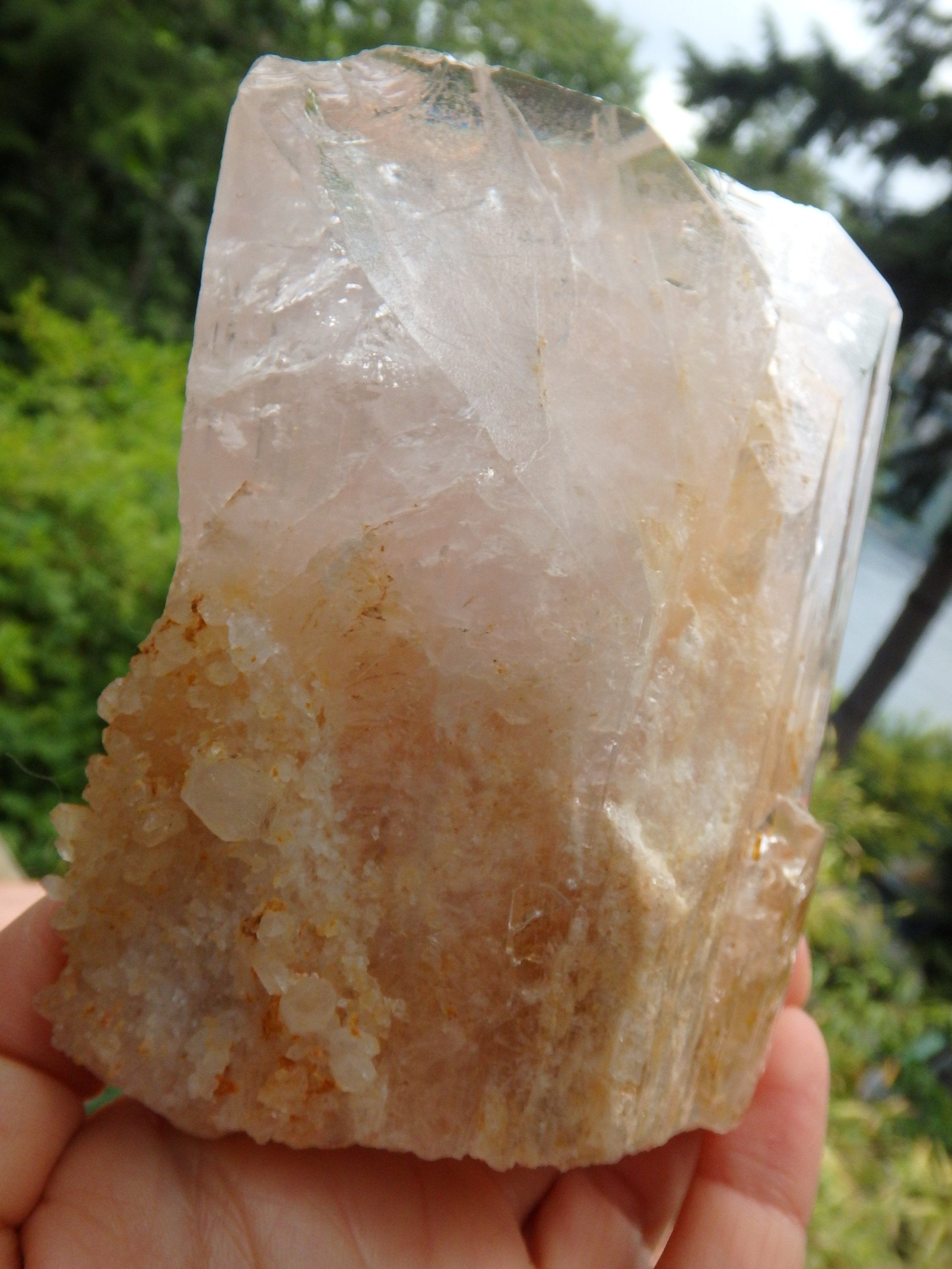 Extreme Healer! XL Light Pink & Golden Danburite With Druzy Quartz Point Inclusions From Mexico - Earth Family Crystals