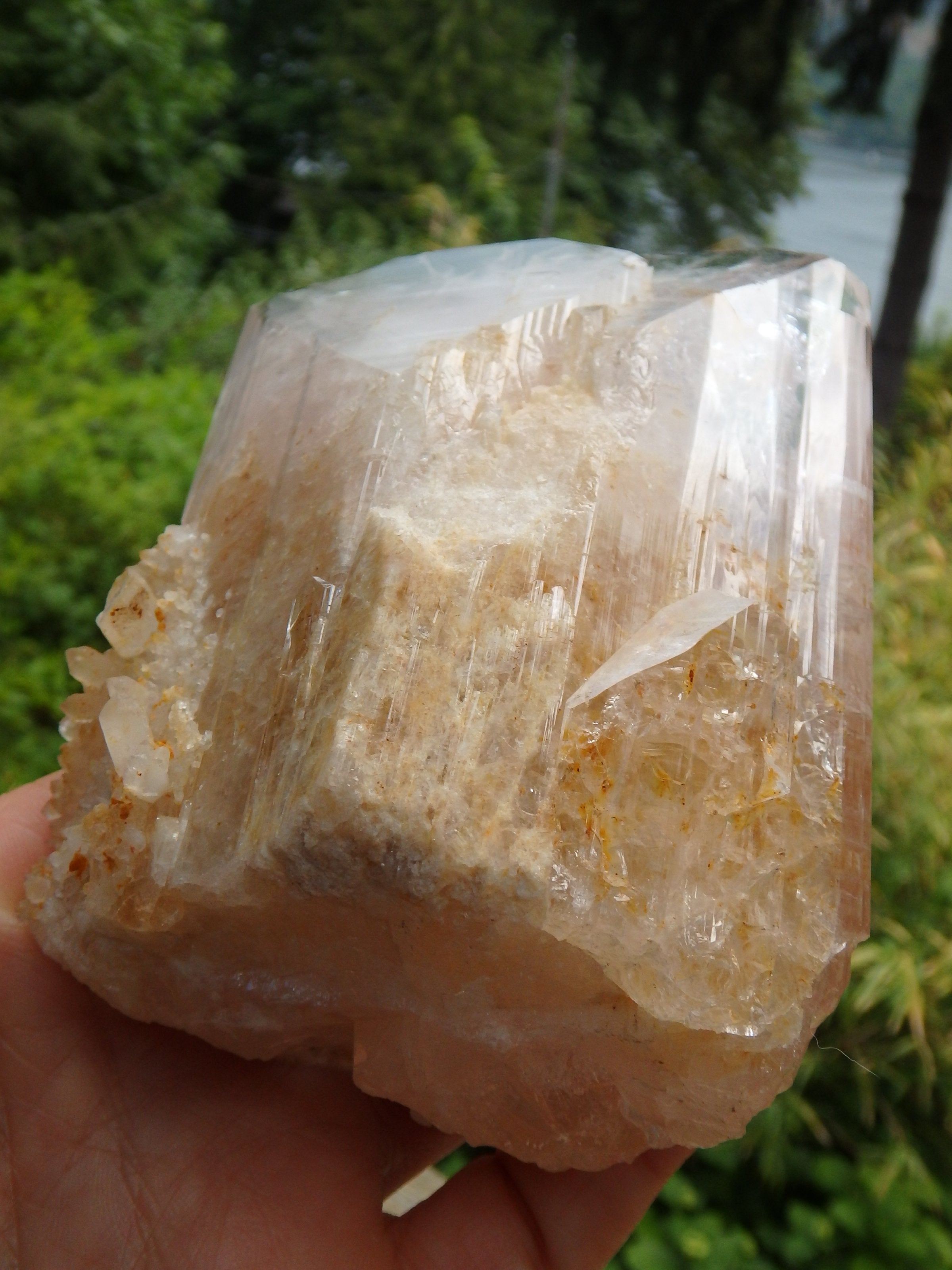 Extreme Healer! XL Light Pink & Golden Danburite With Druzy Quartz Point Inclusions From Mexico - Earth Family Crystals