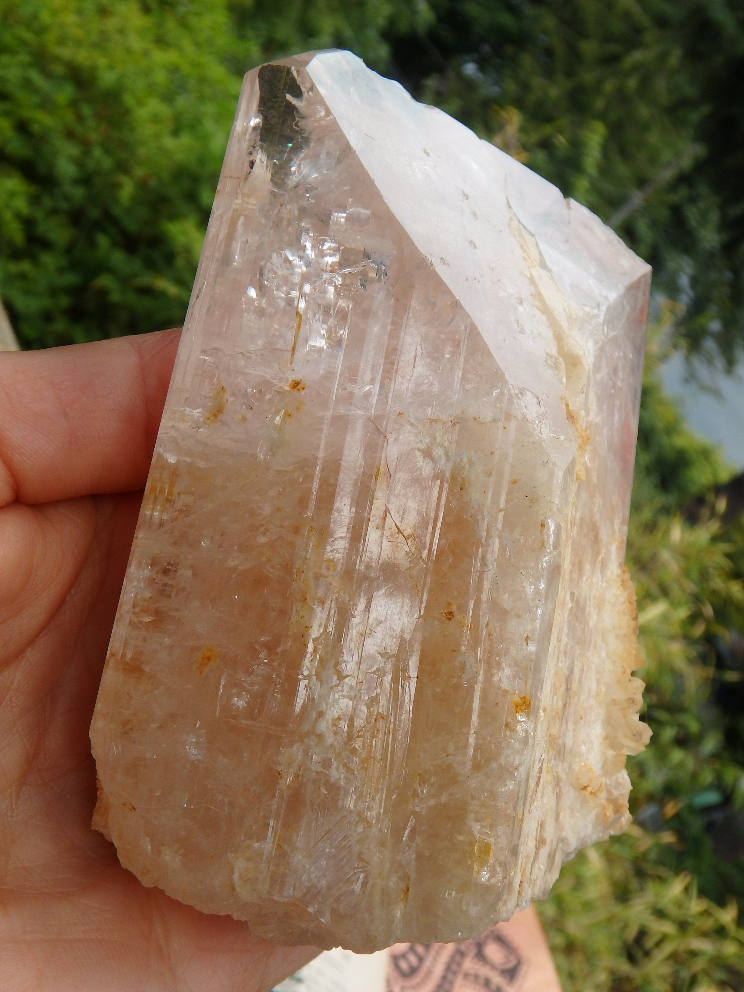 Extreme Healer! XL Light Pink & Golden Danburite With Druzy Quartz Point Inclusions From Mexico - Earth Family Crystals