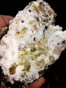 Shiny Golden Apatite Points in Quartz Matrix From Mexico - Earth Family Crystals