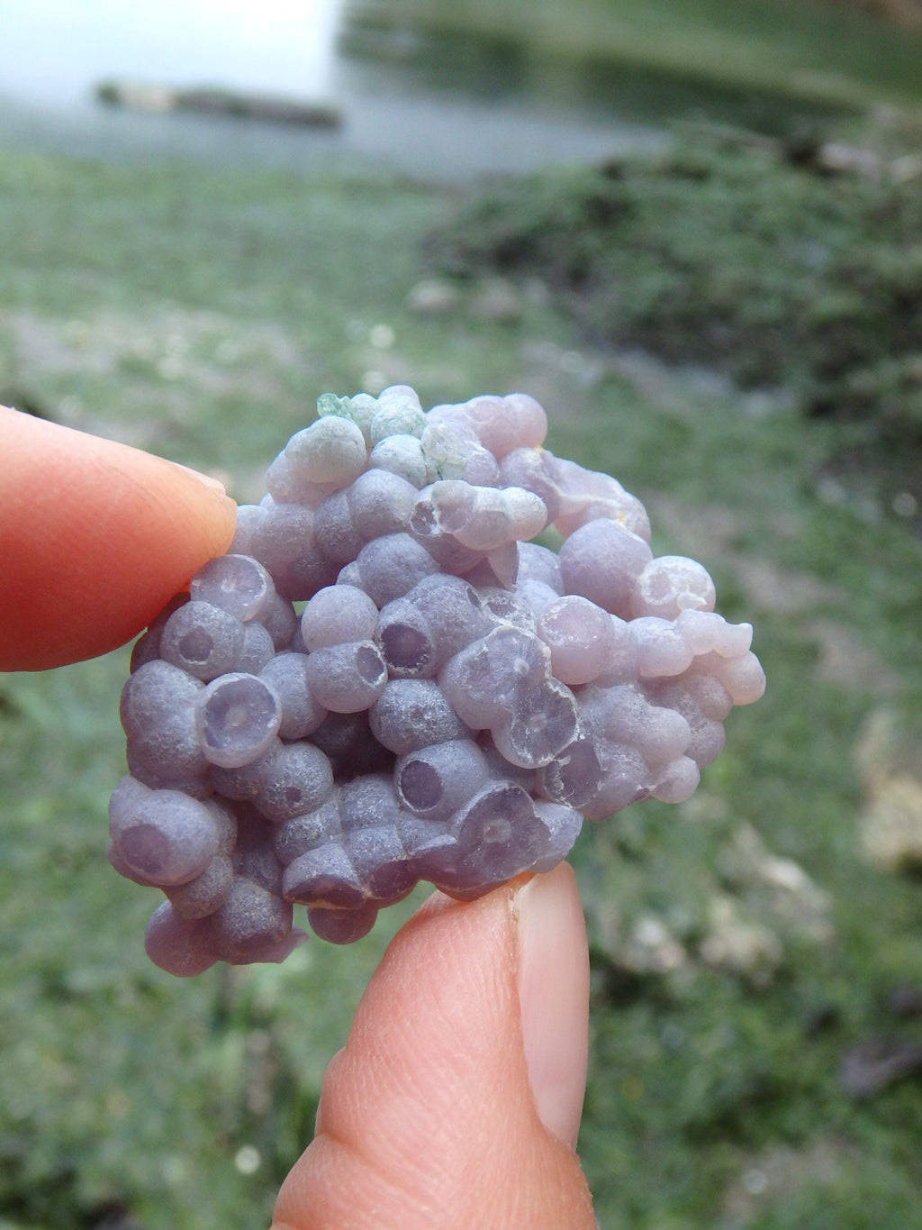 Cute Hand Held Grape Agate Specimen From Indonesia 1 - Earth Family Crystals
