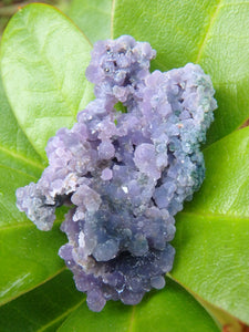 Shimmering Deep Purple Grape Agate With Green Inclusions From Indonesia