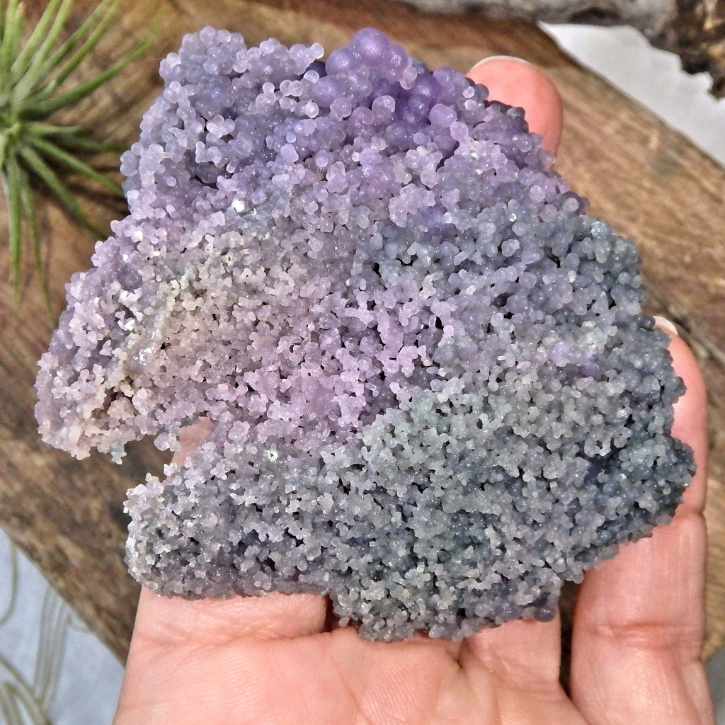 Fantastic Green & Purple Natural Grape Agate Specimen From Indonesia - Earth Family Crystals