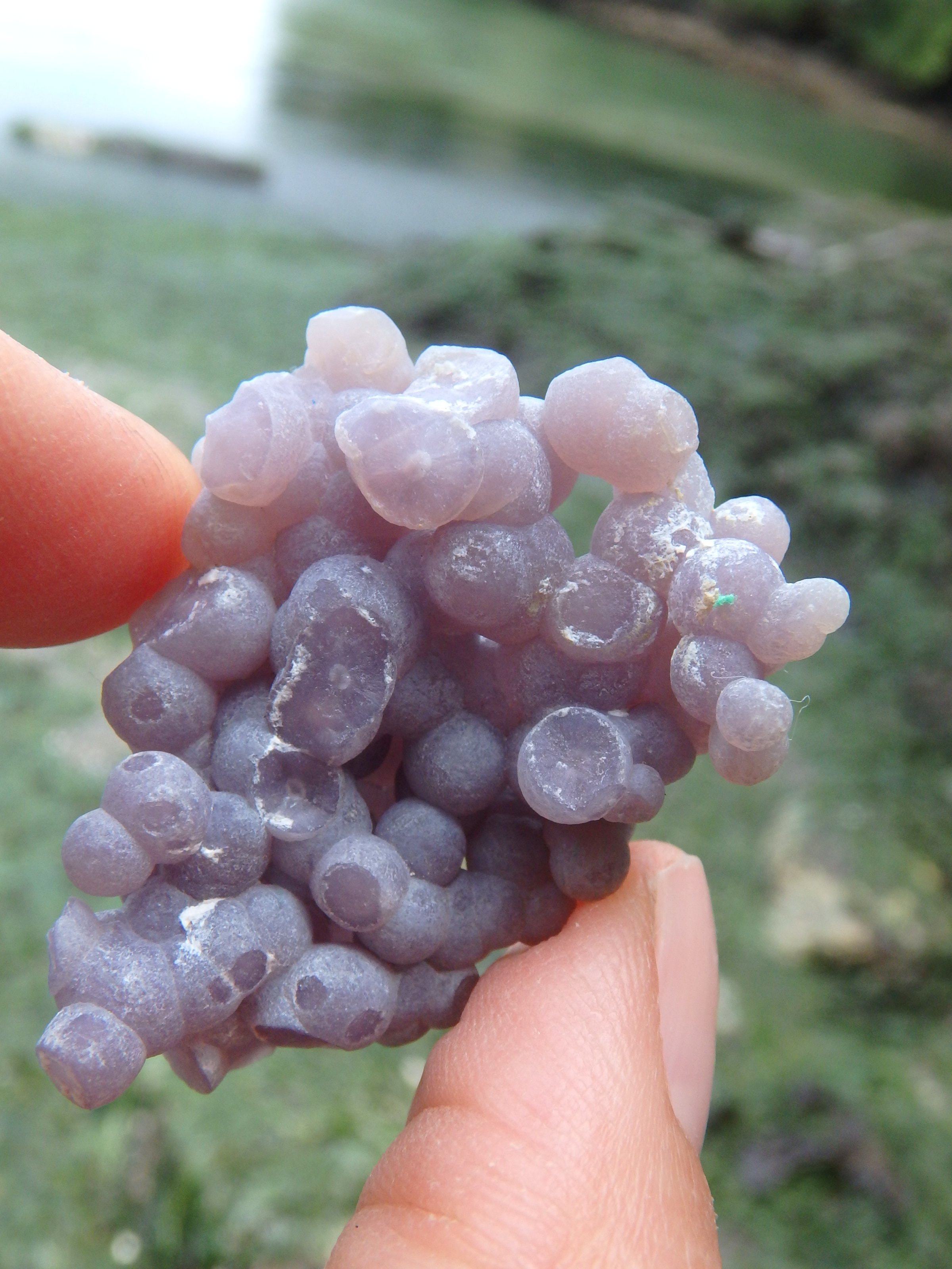 Cute Hand Held Grape Agate Specimen From Indonesia 1 - Earth Family Crystals