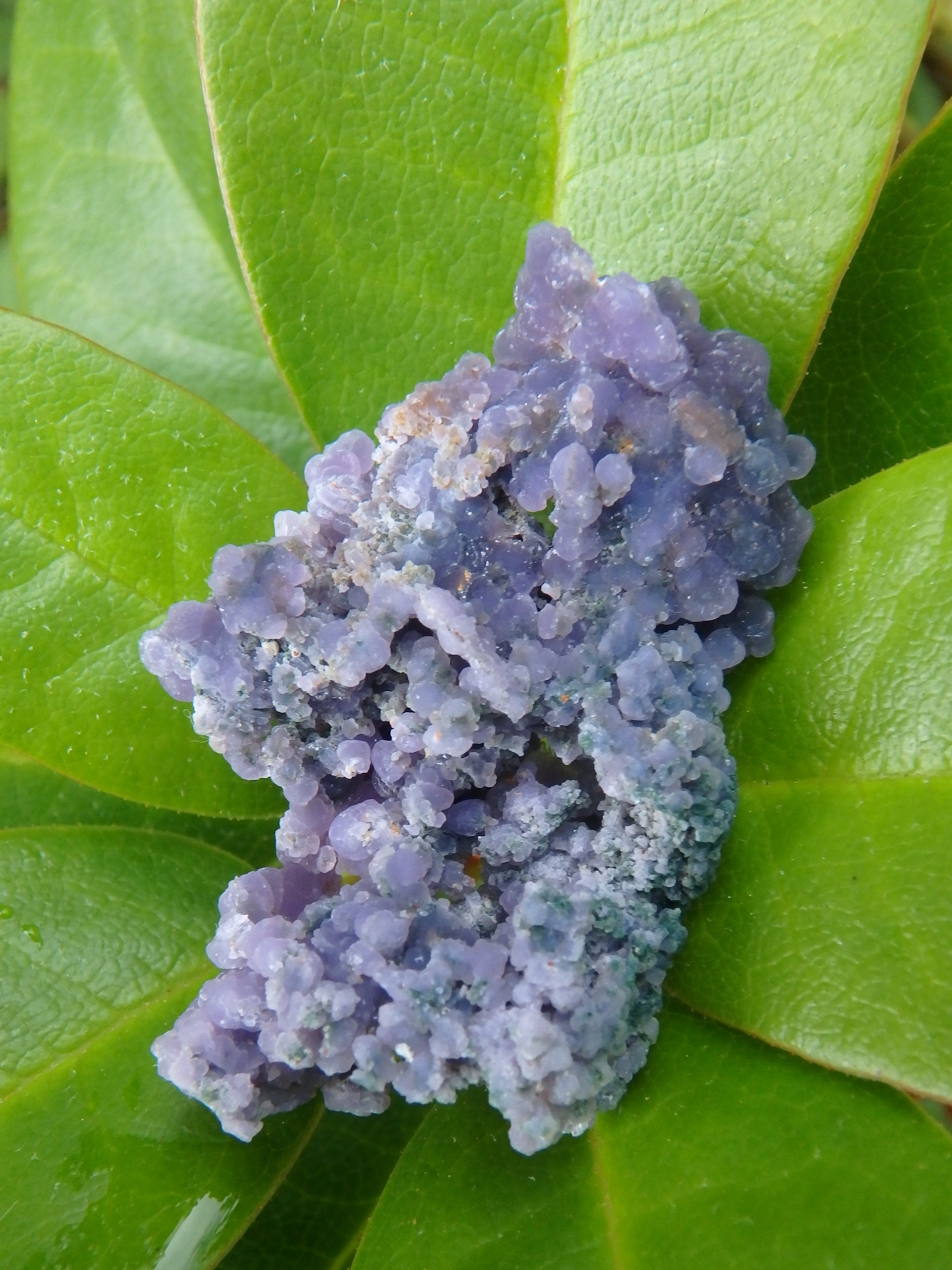 Shimmering Deep Purple Grape Agate With Green Inclusions From Indonesia