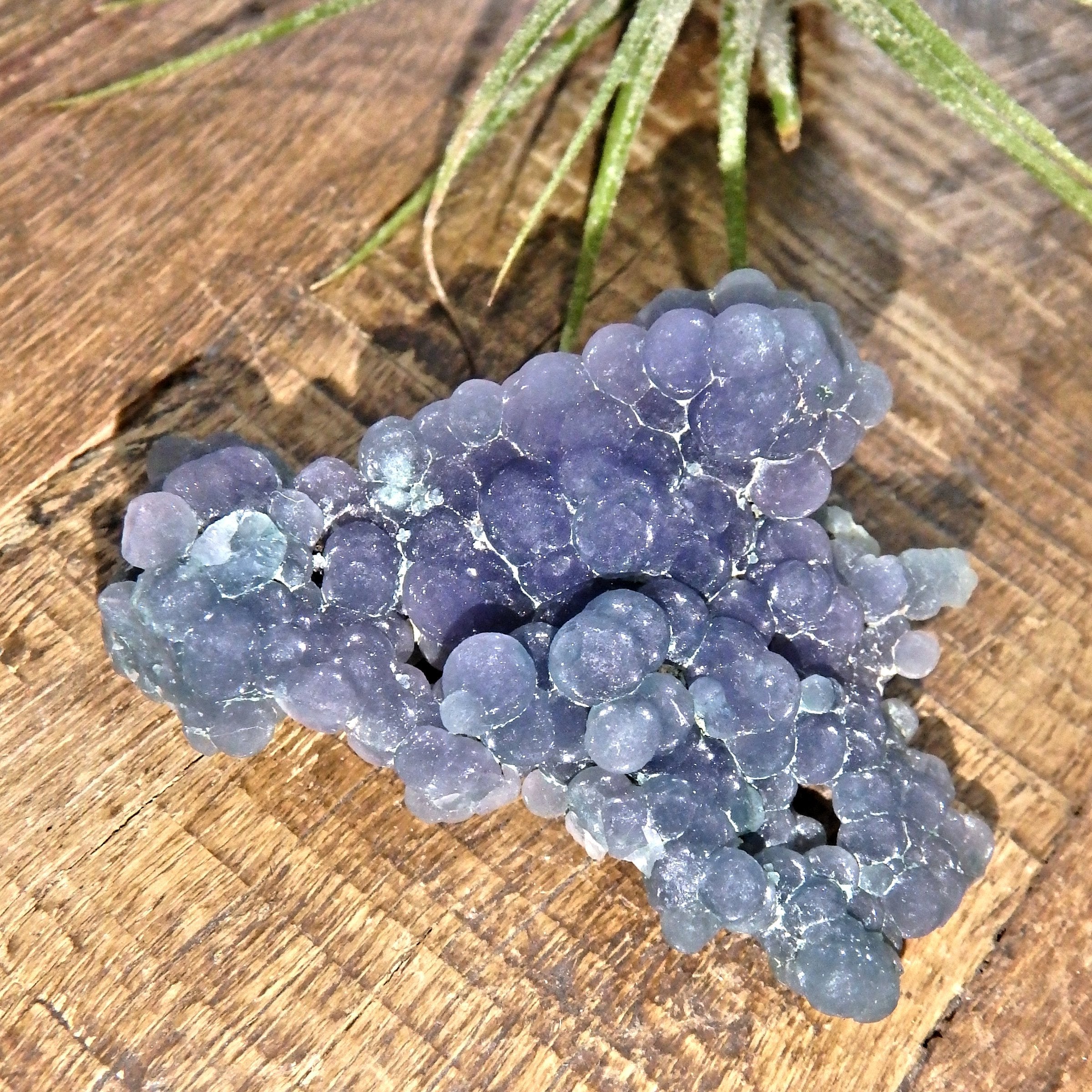 Silky Deep Green & Purple Natural Grape Agate Handheld Specimen From Indonesia