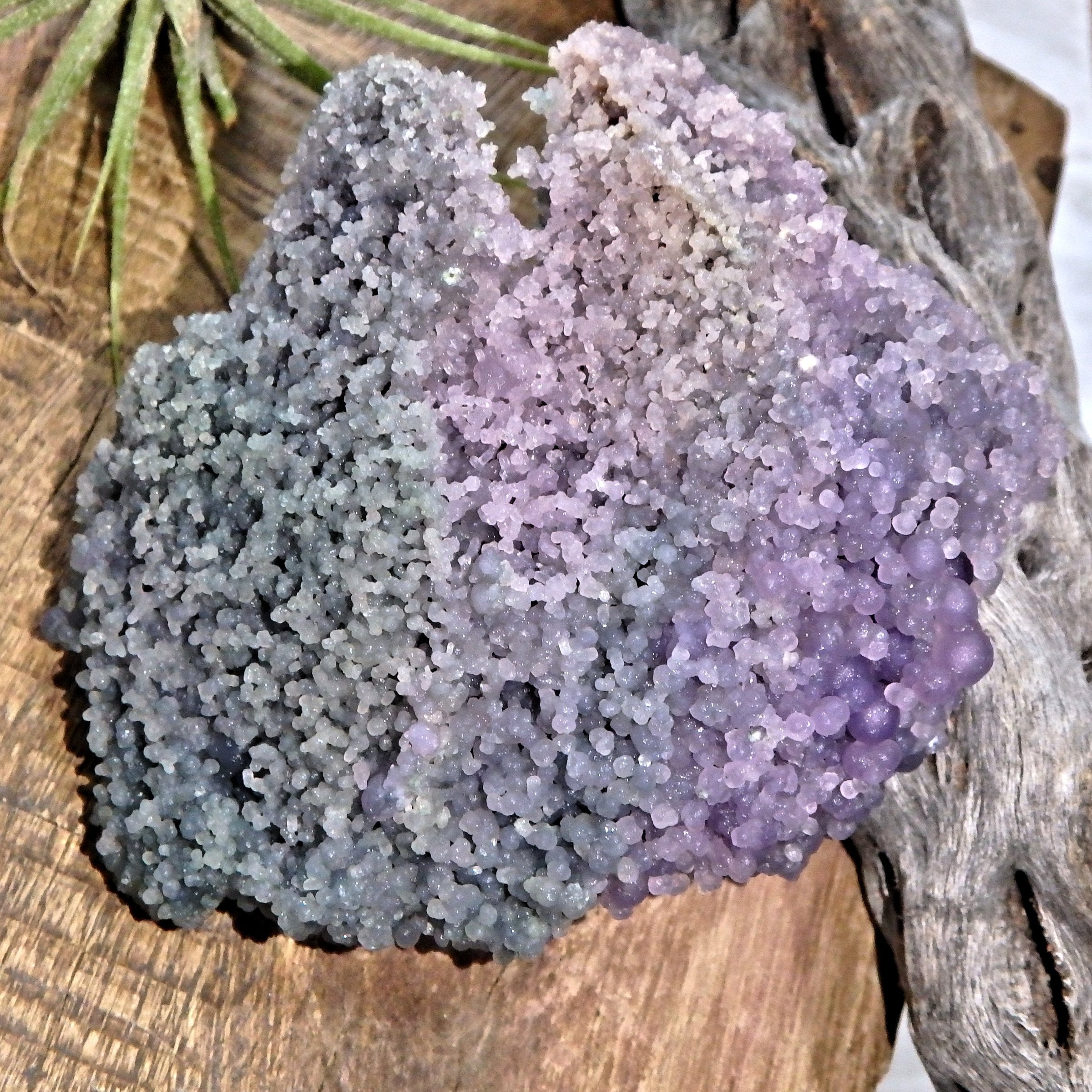 Fantastic Green & Purple Natural Grape Agate Specimen From Indonesia - Earth Family Crystals