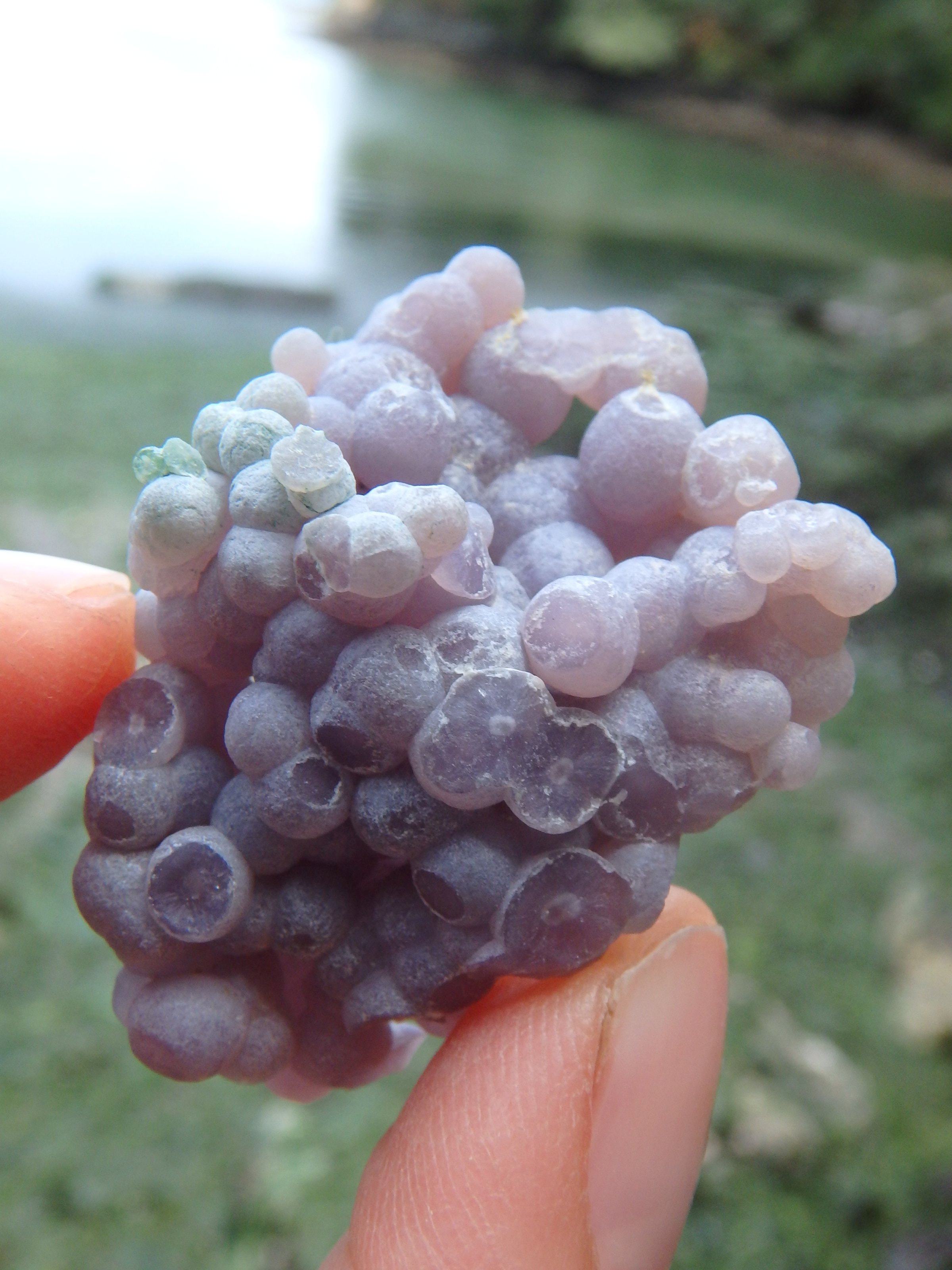 Cute Hand Held Grape Agate Specimen From Indonesia 1 - Earth Family Crystals
