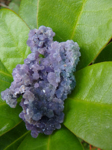 Shimmering Deep Purple Grape Agate With Green Inclusions From Indonesia