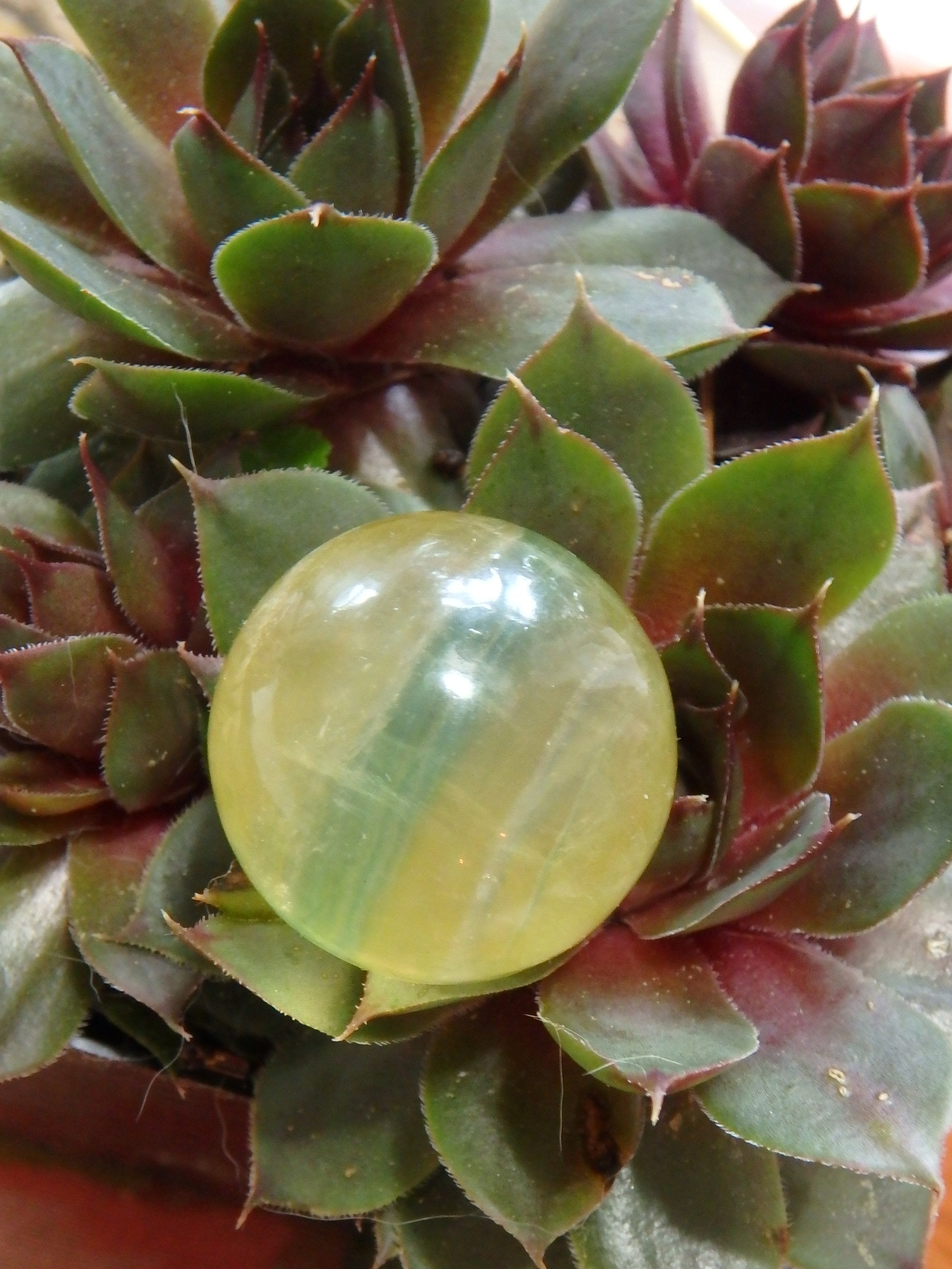 Vibrant Golden & Green Fluorite Small Sphere Carving 2 - Earth Family Crystals