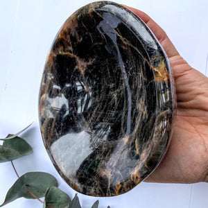 Amazing XL Black Moonstone Bowl Carving~ Ideal to Hold Precious jewelry & Small Crystals Inside - Earth Family Crystals