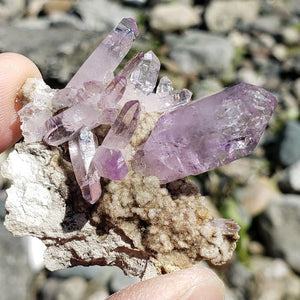 Sceptre Point  Vera Cruz Amethyst Cluster on Matrix