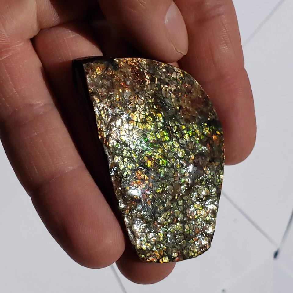 Chunky Alberta Ammolite Fossil Free Form Hand Held Specimen #6 - Earth Family Crystals